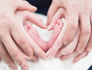 1005793_253491571486804_338956288_n