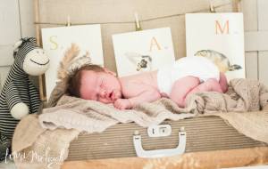 1555329_253492001486761_466996761_n