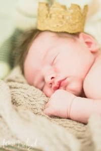 1621727_253491954820099_210945948_n